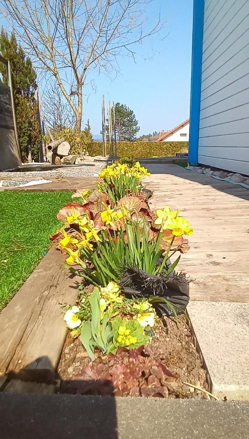 Logement De Charme Coinches Exterior photo